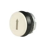 PL005004-600×600